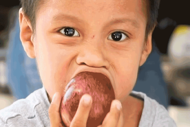 Apple Boy